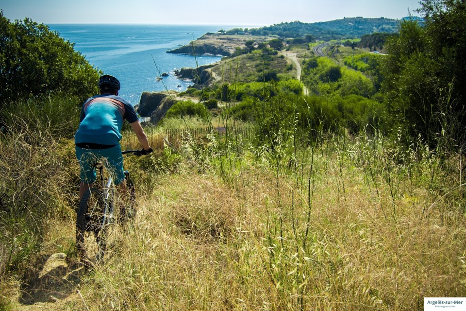 VTT-ArgelesTourisme-Stephane_FERRER-2854 (1)