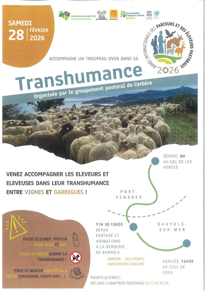 Transhumance 2026 (Année Internationale des parcours et des éleveurs pastouraux)