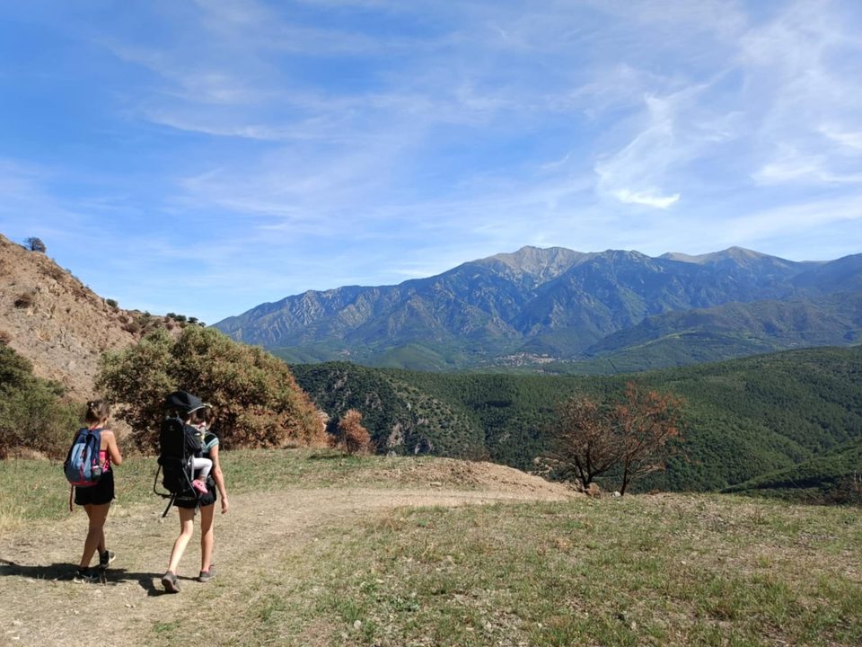 IMG-20250816-WA0018