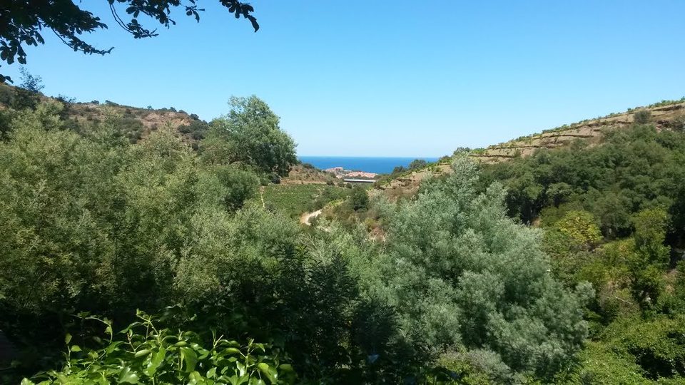 st_elme2