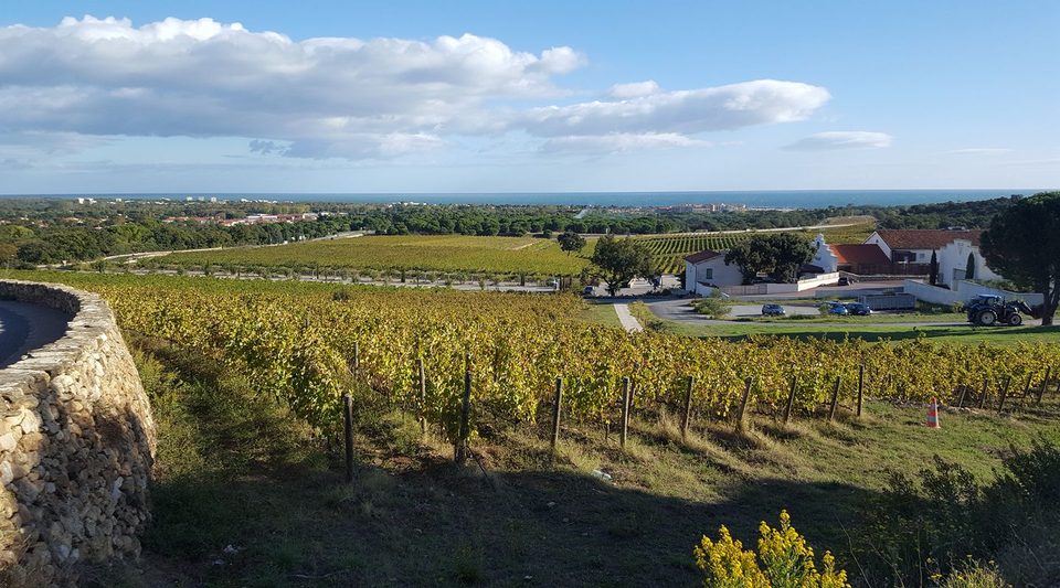 Balade à vélo autour d'Argelès-sur-Mer