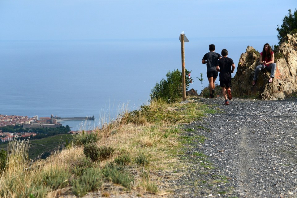 Trail des Vendanges