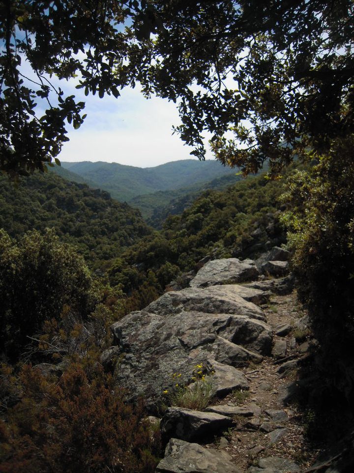 Sentier pavé