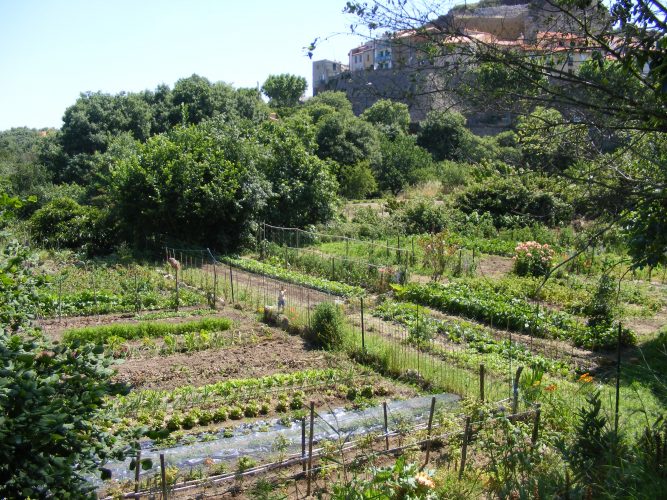 [Balade] Découverte du vieux village de Laroque et de ses environs