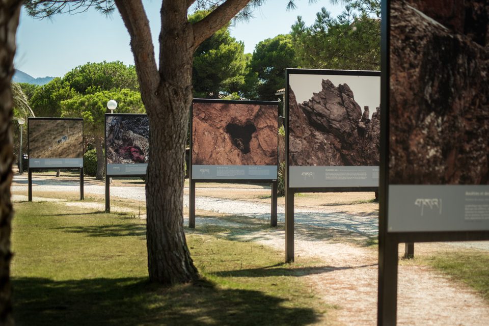 Aregeles_Photo_Nature-ArgelesTourisme-Stephane_FERRER-4697-1200px