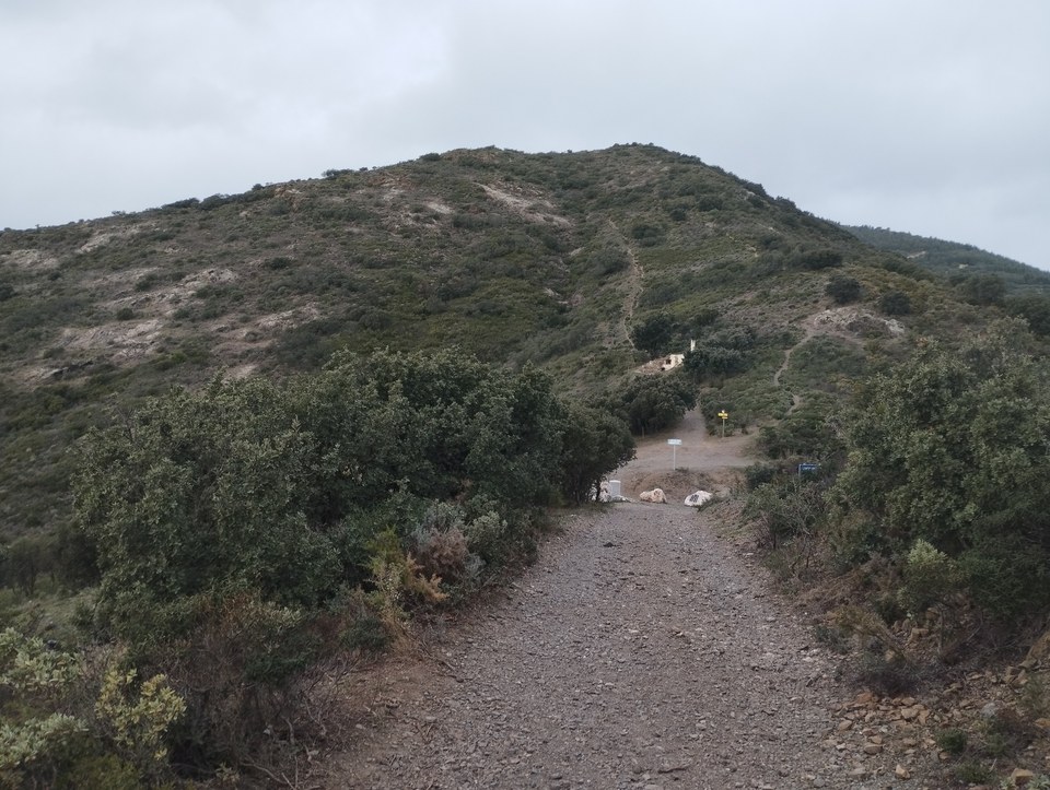 Col de Banyuls