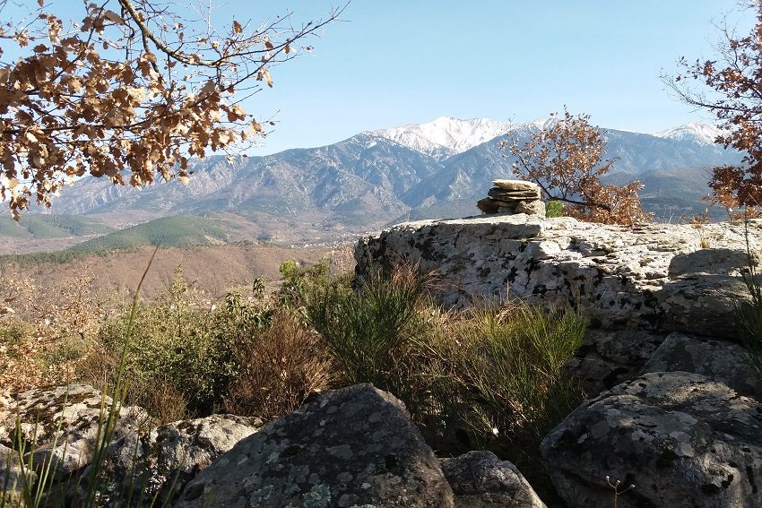 Vall Llobera
