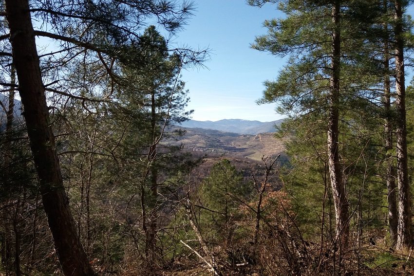 Vue sur Escaro depuis la forêt de pins