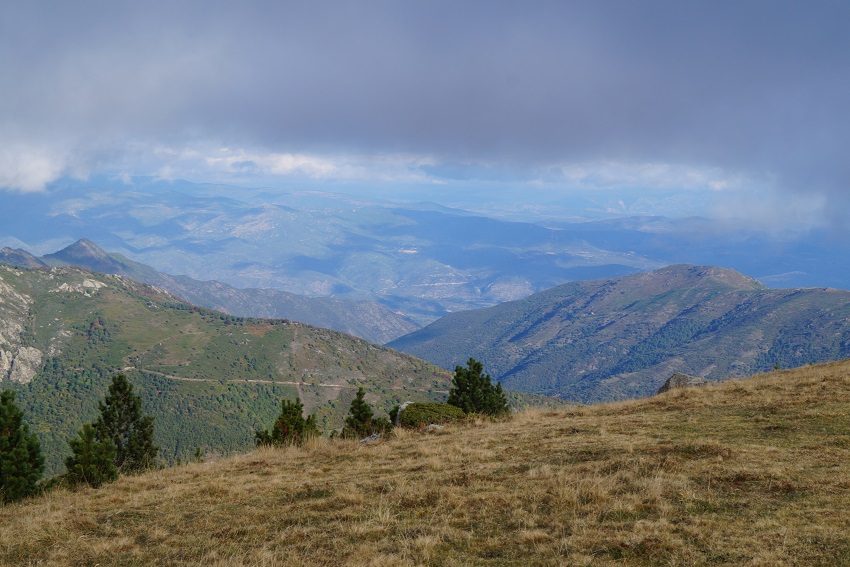 Pla de la Pilota