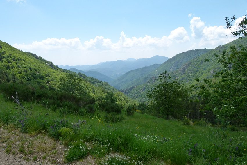 Vallée de la Comalada, depuis Sant Guillem