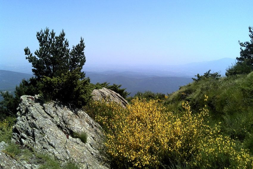 Paysage depuis le Pla de les Eugues
