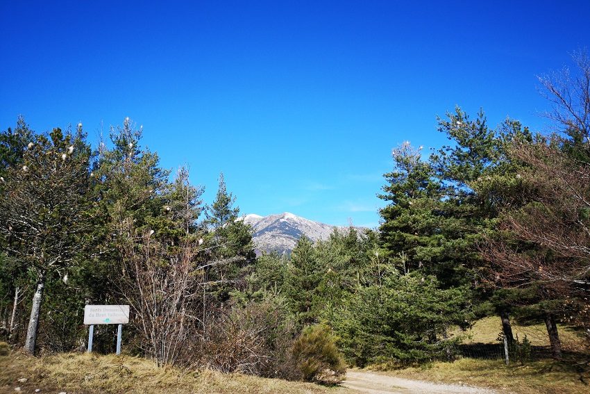Pla de la Coma, vue sur le Gallinàs et Cincreus