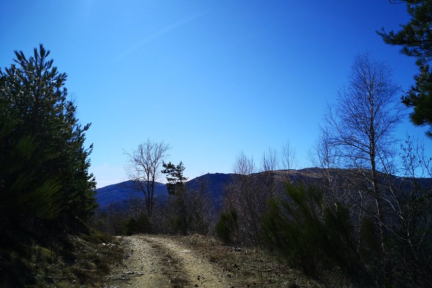 Vue sur la Torre del Mir, en direction du Coll del Miracle