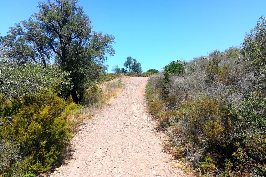 En chemin vers Llauro