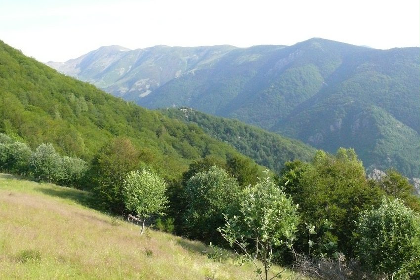 Vue sur la Comalada depuis le Coll d'en Cé