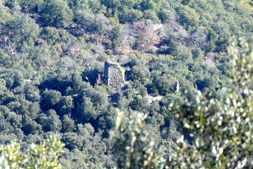 Vue sur les ruines du château de Montauriol