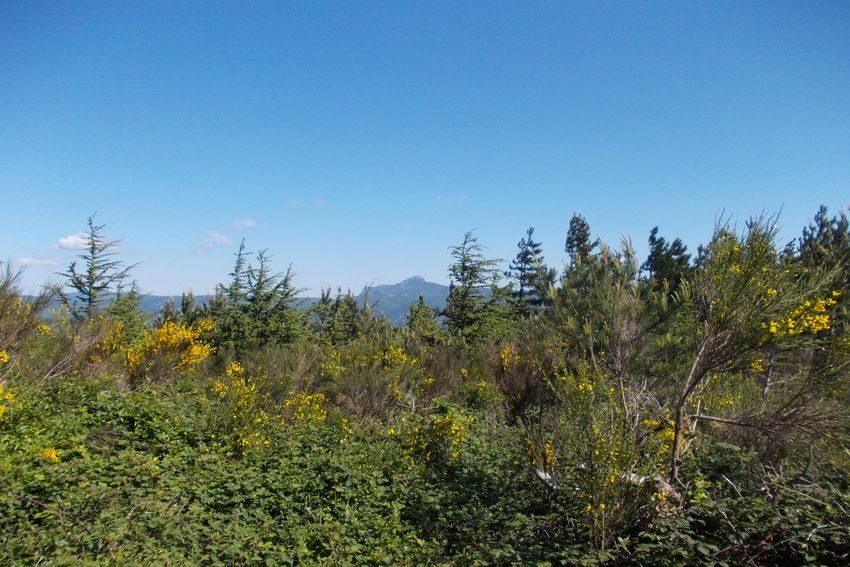 Pic de Bugarach