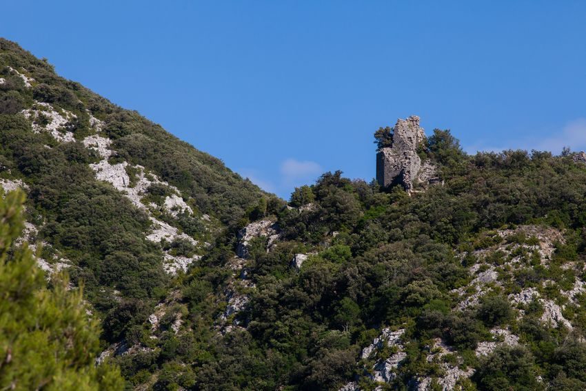 Castel Fizel