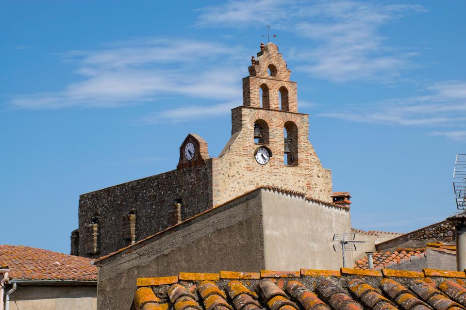 Grappe de Vermentino