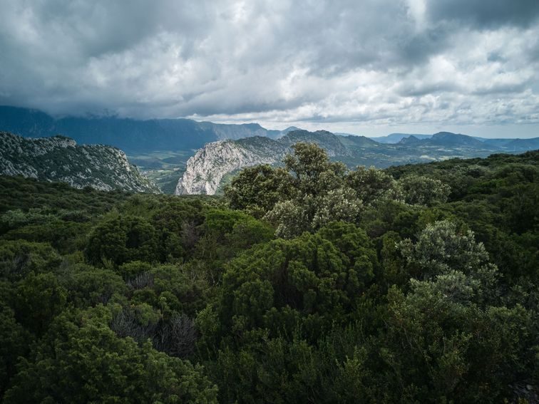 Les abords de Saint-Martin