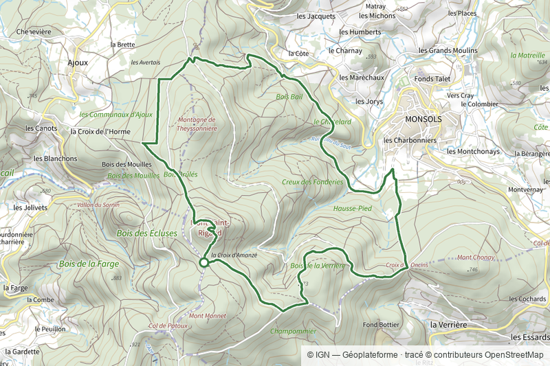 Circuit du Mont Saint-Rigaud 12 km