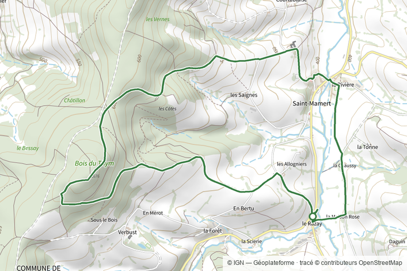 Circuit du Bois du Thym