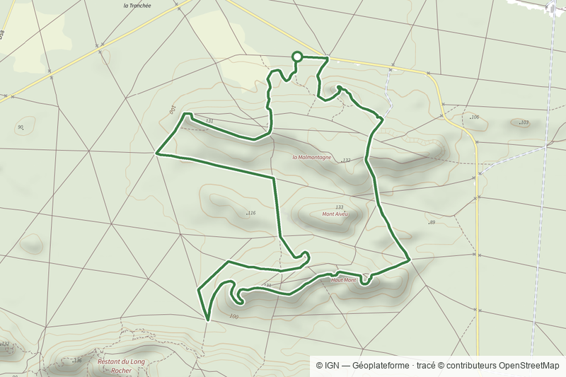 Sentier Denecourt-Colinet 17