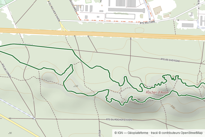 Sentier Denecourt-Colinet 10