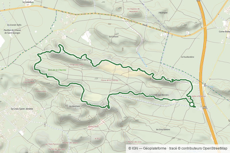 Sentier Denecourt-Colinet 16