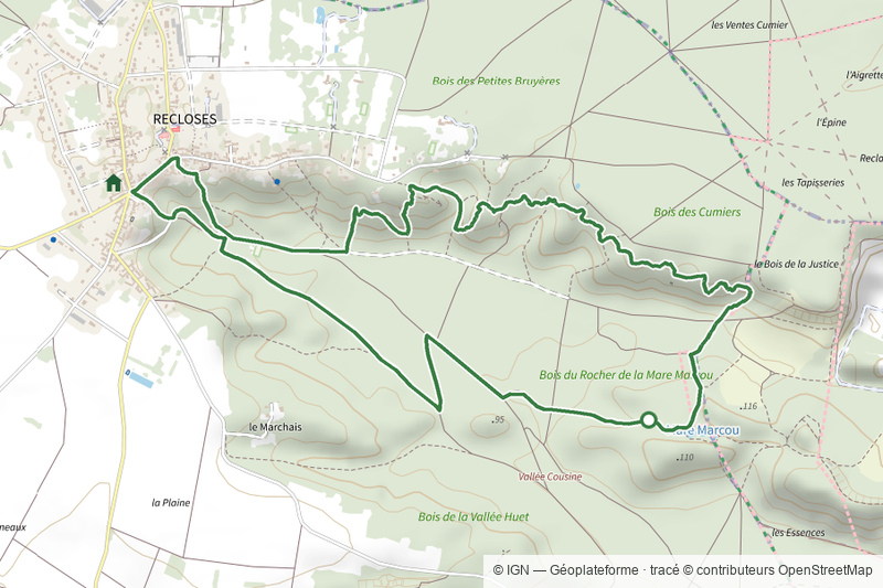 Sentier Denecourt-Colinet 20
