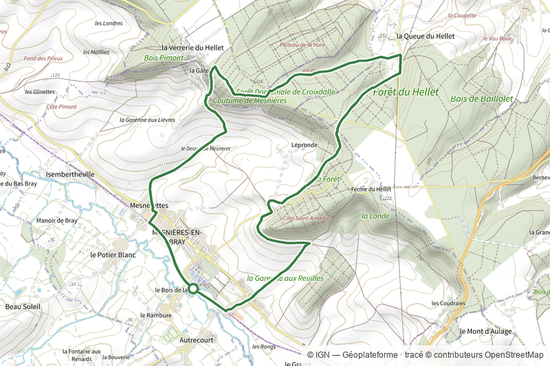 La Forêt du Hellet