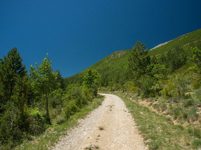 Piste bordant la Forêt Domaniale de la Méouge