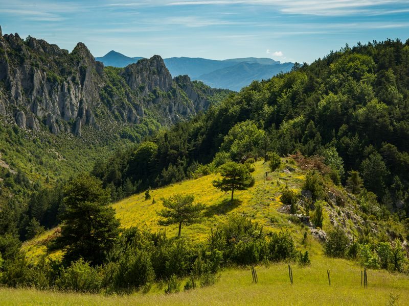Point de vue verdoyant du Serrois