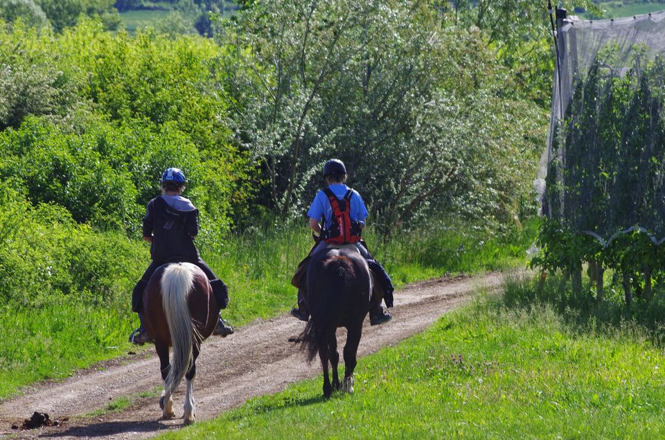 Du val de Méouge à la Durance