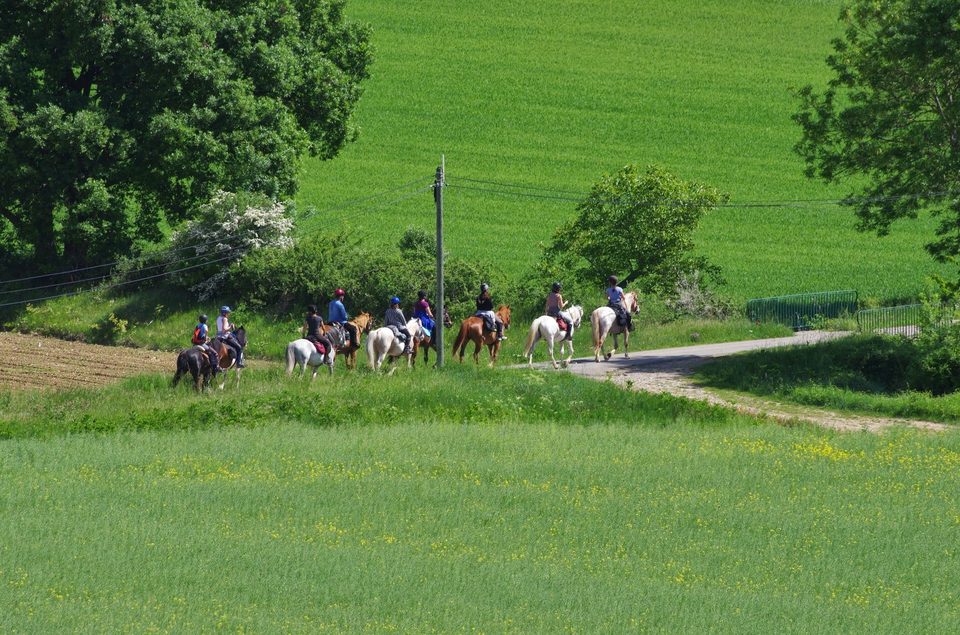 Paysages ruraux