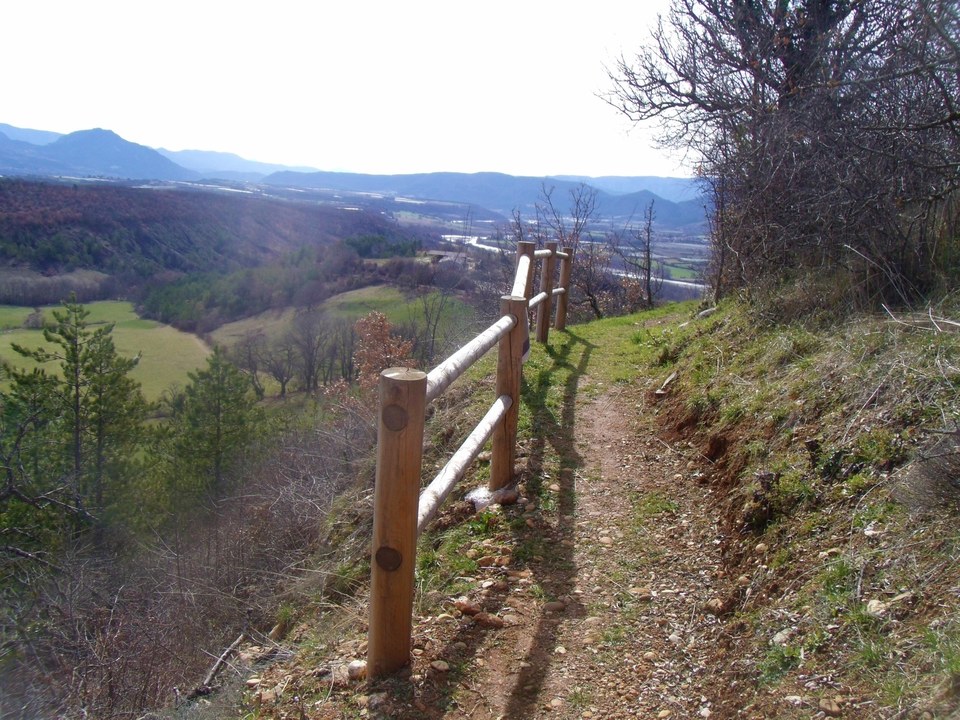 Plateau recouvert de lavande