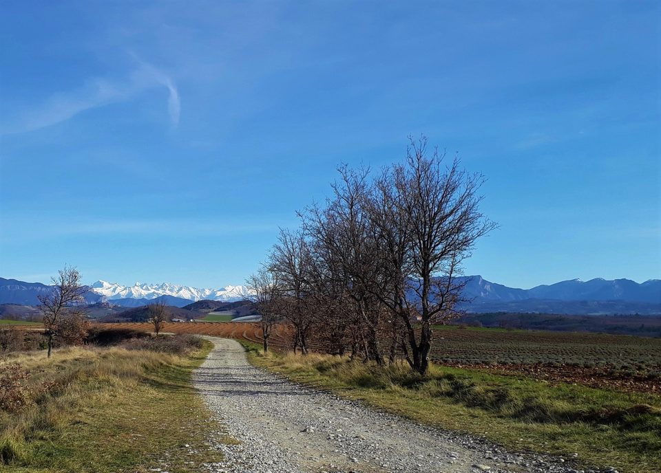 Sentier à emprunter