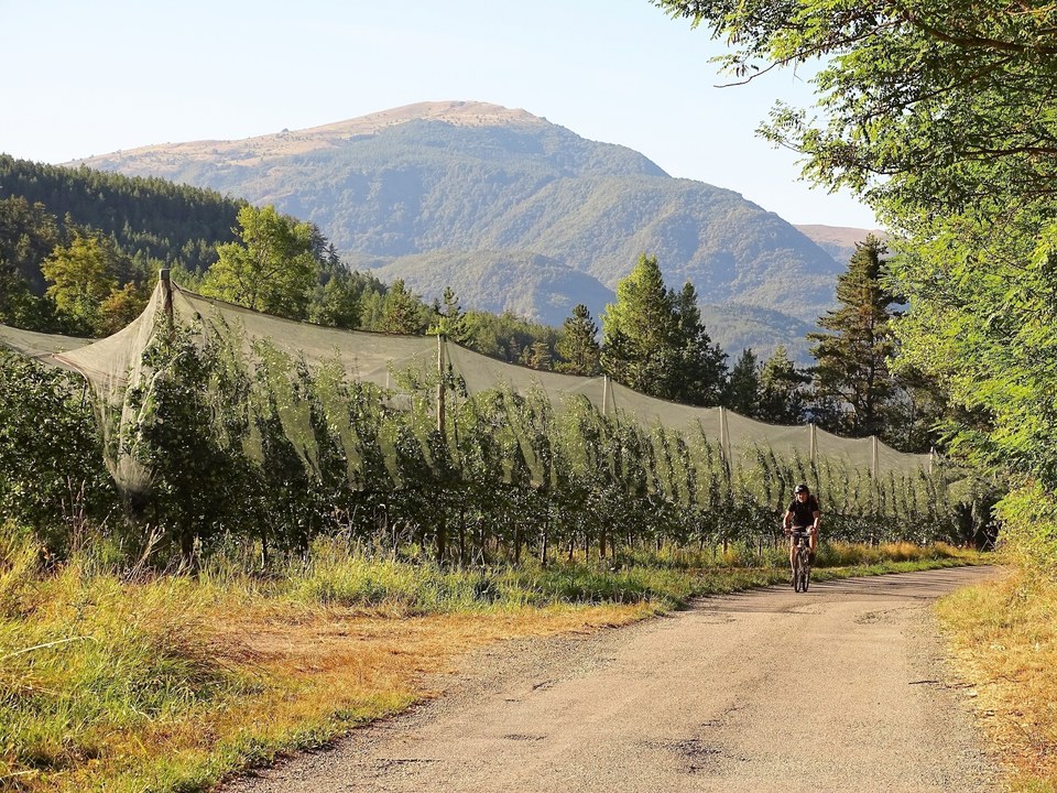 La Balade des vergers à VTT (N°1)