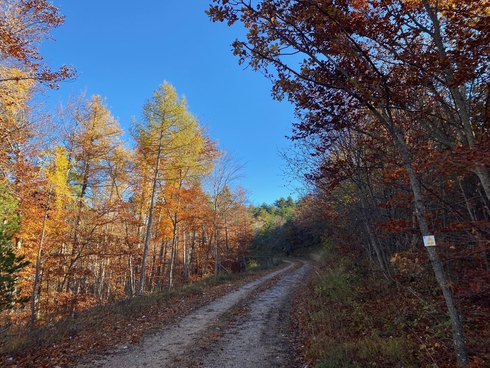 Gorges du Riou