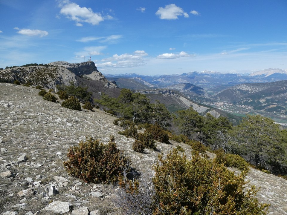 Panorama