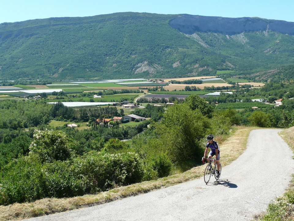 Saléon