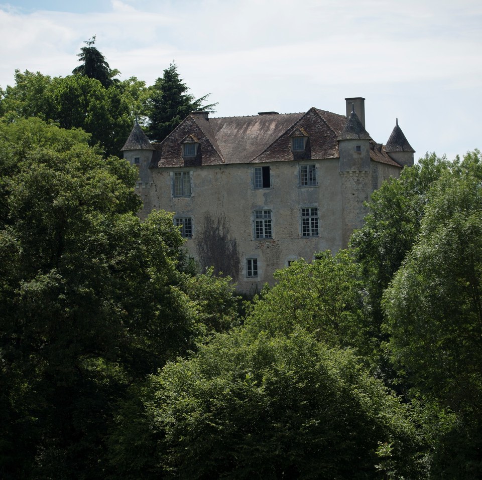 Château de Pruniers - Pindray