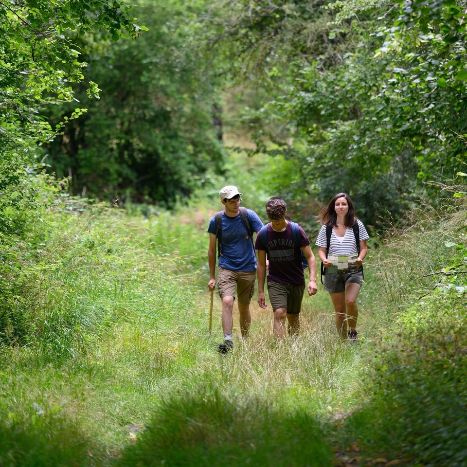 Chemin d'Oc et d'Oïl boucle n°4