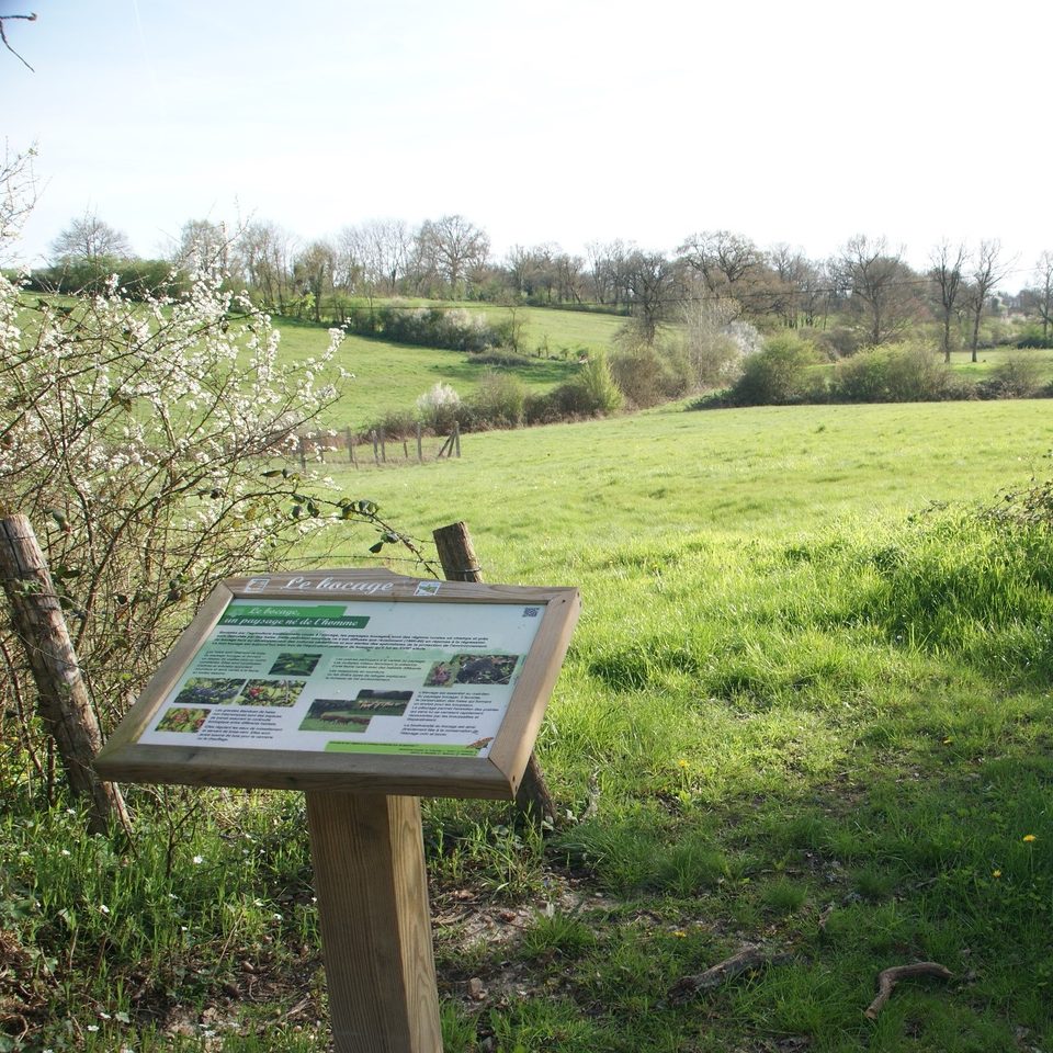 Sur les chemins de Juillé