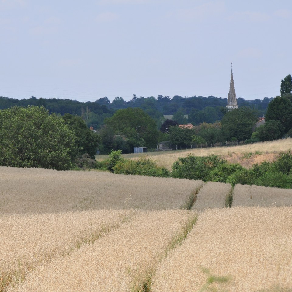 Flânerie champêtre