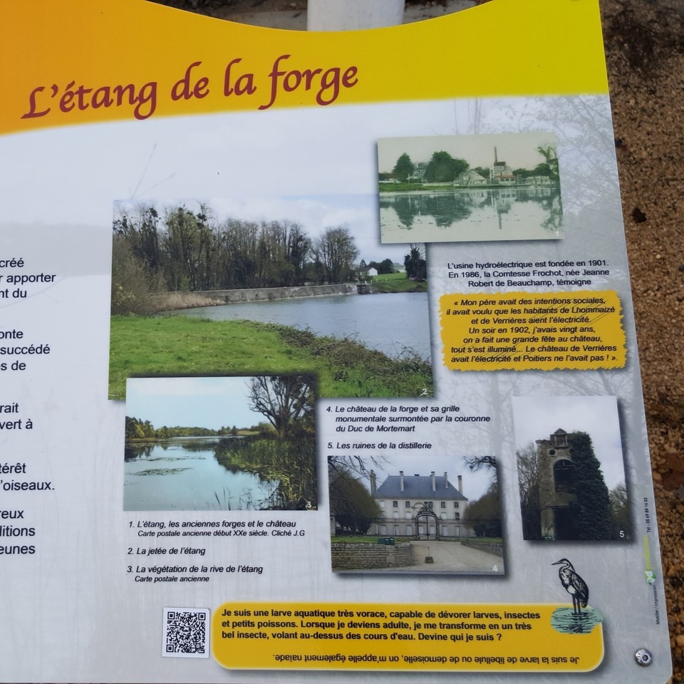 Flanerie Champêtre