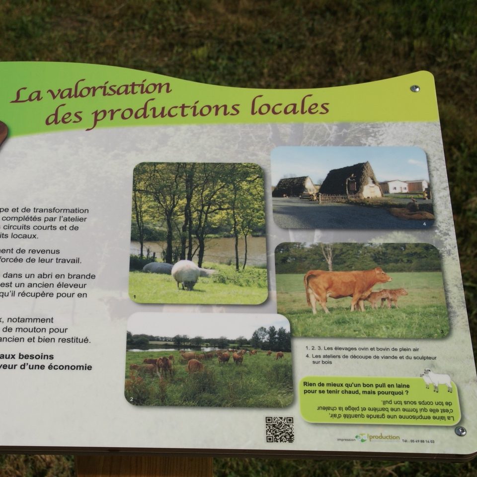 Nature et développement durable