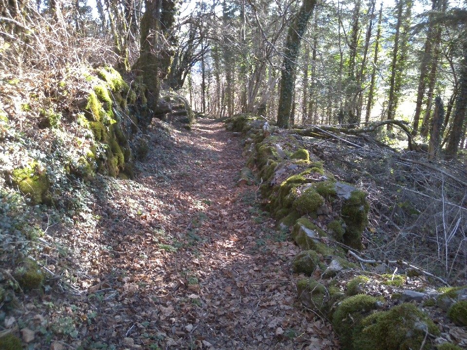 Sentier du Mont Barre