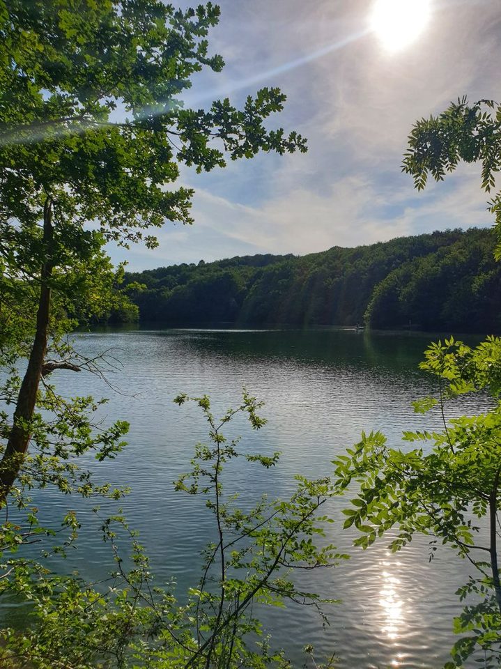 Lac de la bancalié