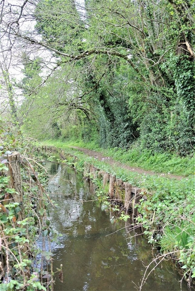 Voie douce du petit train avant St Agnan